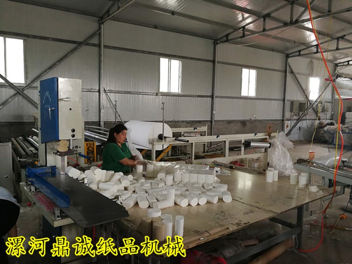 小型衛(wèi)生紙加工廠(chǎng)